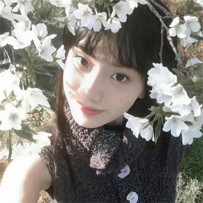 木兰花